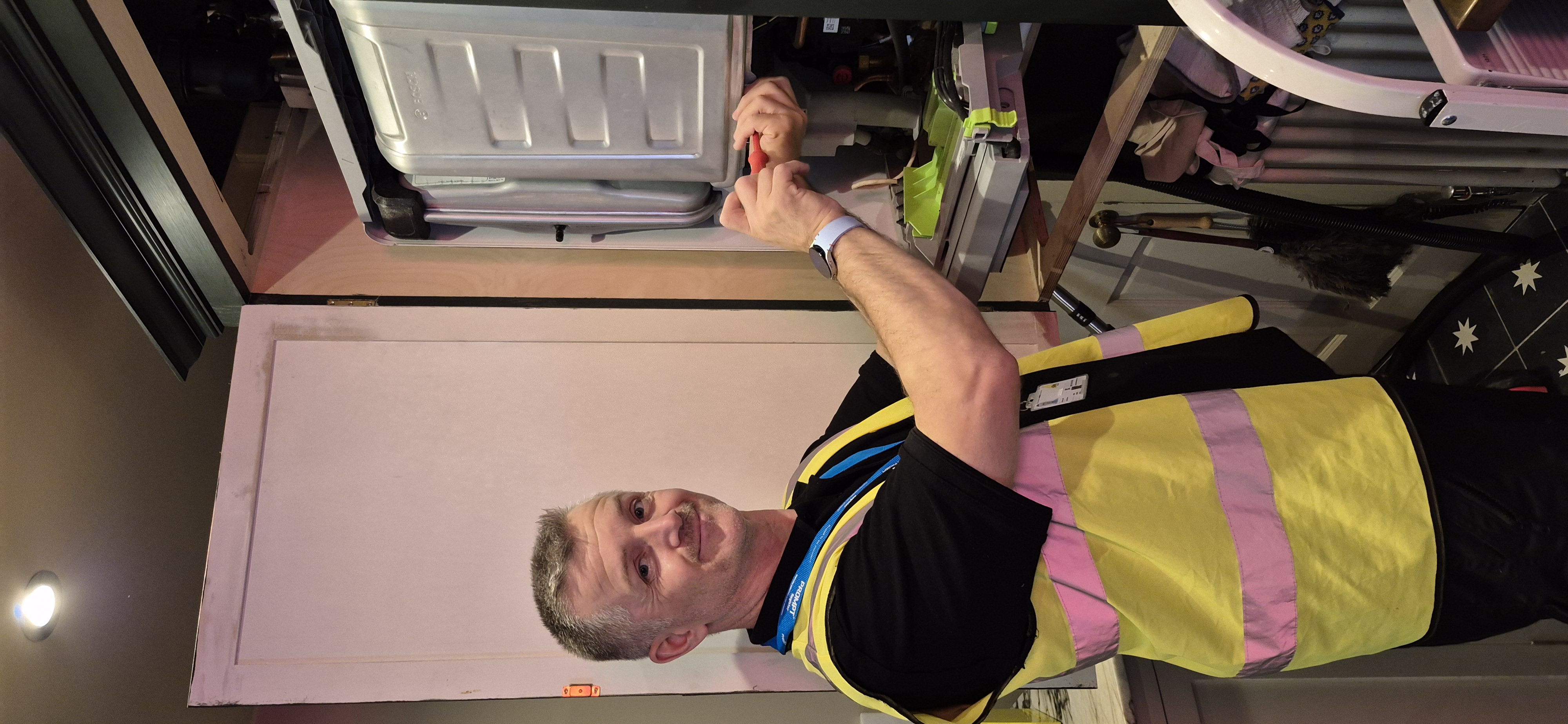 Pest Control Professional